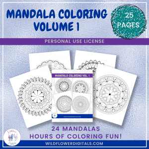 Mandala Coloring Vol 1